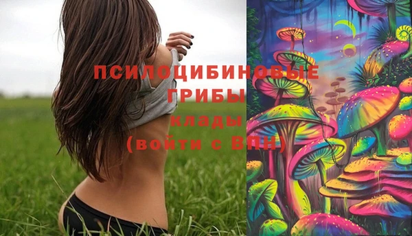 ешки Каменск-Шахтинский