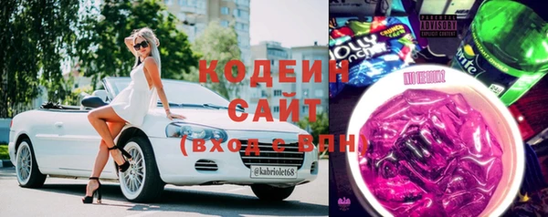 шишки Инсар