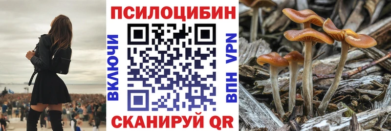 купить наркотик  Ялта  OMG вход  Галлюциногенные грибы Magic Shrooms 